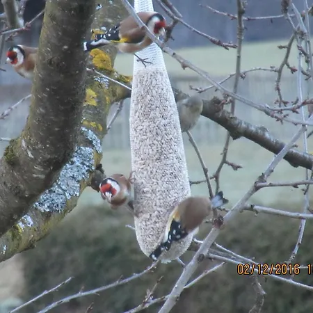 Landhaus Geisler Apartment *