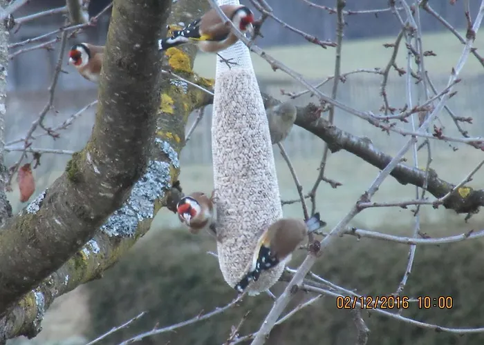 Landhaus Geisler Appartement *